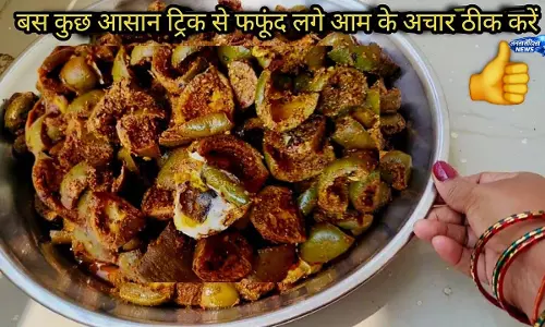 खराब अचार को फेंके नहीं, ऐसे करें सही खराब अचार को फेंके नहीं, ऐसे करें सही