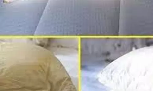 तकिए की अंदरूनी सफाई कैसे करें, जानें आसान तरीके तकिए की अंदरूनी सफाई कैसे करें, जानें आसान तरीके