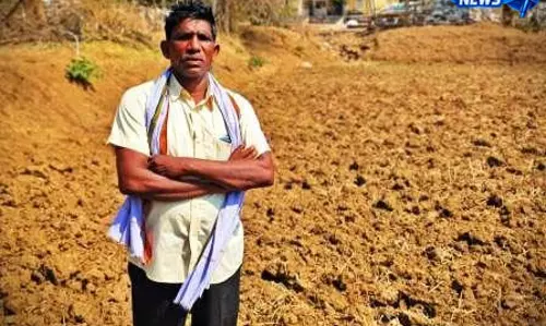 धान का सही दाम मिलने पर बालोद के किसान ने बंजर जमीन को भी बनाया उपजाऊ धान का सही दाम मिलने पर बालोद के किसान ने बंजर जमीन को भी बनाया उपजाऊ