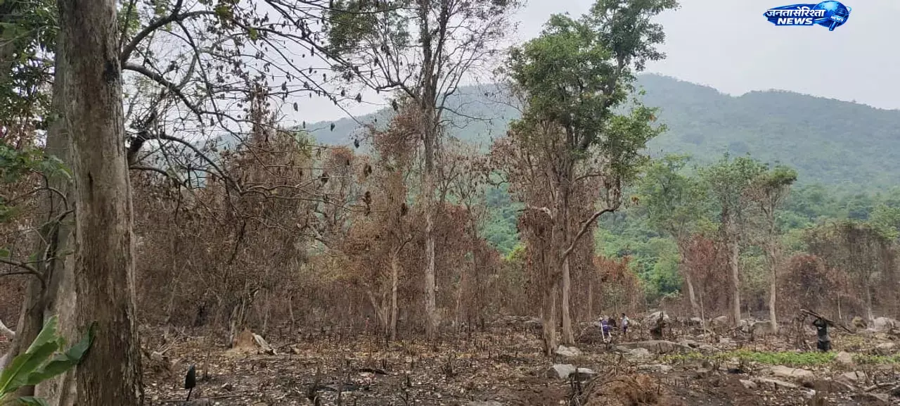 Odisha : गजपति रिज़र्व फॉरेस्ट में अवैध कटाई और आगजनी, जांच की मांग तेज Odisha : गजपति रिज़र्व फॉरेस्ट में अवैध कटाई और आगजनी, जांच की मांग तेज