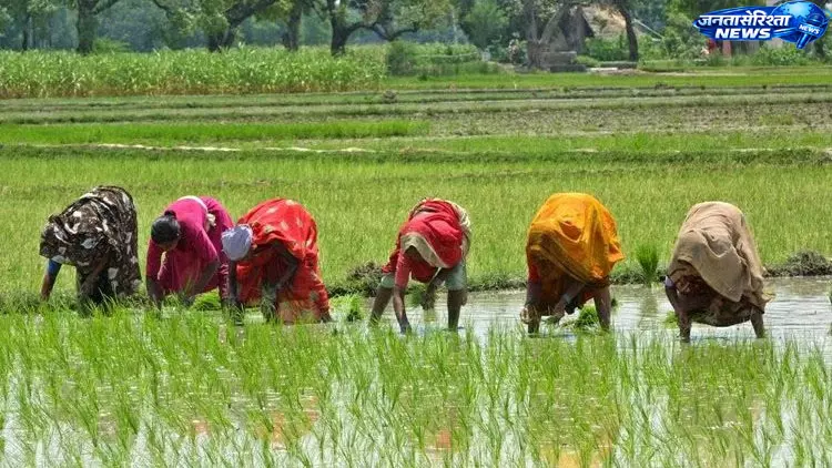 Karnataka : मानसून की देरी से बुवाई प्रभावित, पैदावार पर असर की आशंका Karnataka : मानसून की देरी से बुवाई प्रभावित, पैदावार पर असर की आशंका