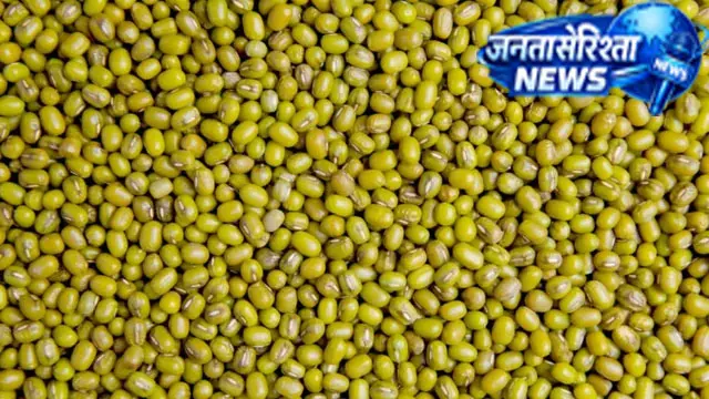 Bihar : मूंग की फसल का उचित मूल्य न मिलने से किसान परेशान, आर्थिक नुकसान की आशंका
