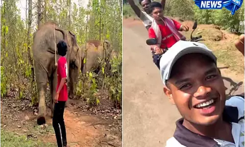 कंटेंट की चाह में खतरनाक हरकत! ओडिशा के युवाओं ने हाथियों को छेड़ा, वीडियो वायरल कंटेंट की चाह में खतरनाक हरकत! ओडिशा के युवाओं ने हाथियों को छेड़ा, वीडियो वायरल
