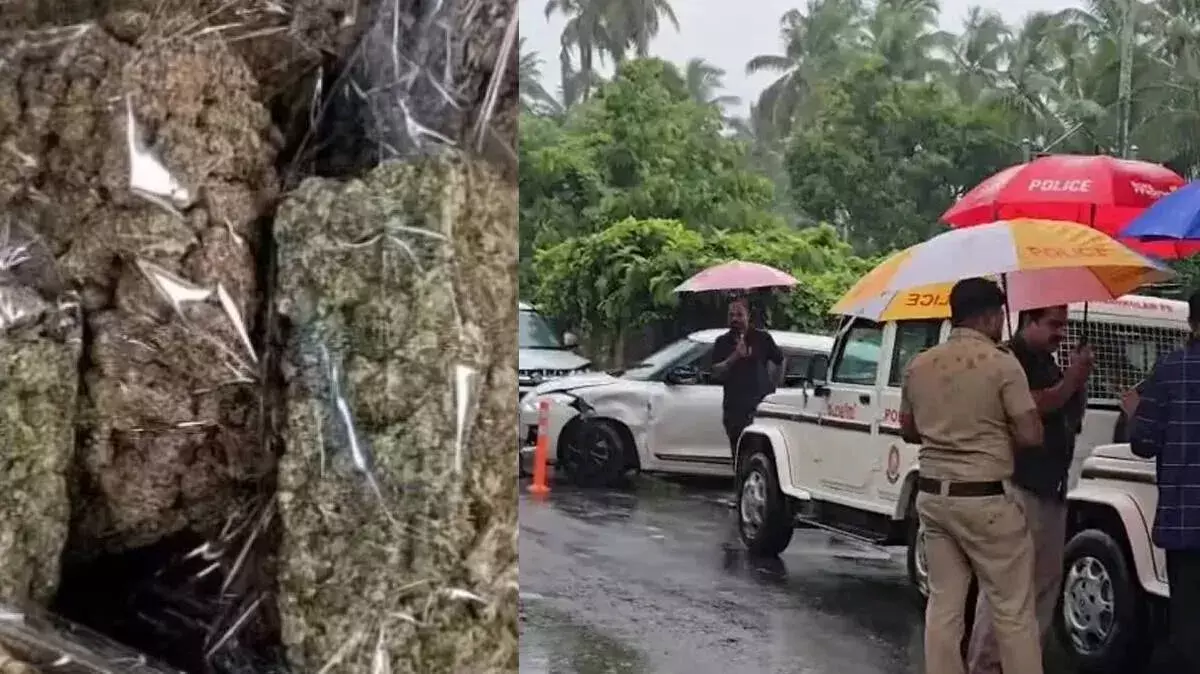 kerala: 35 किलो गांजे के साथ दो लोग पकड़े गए