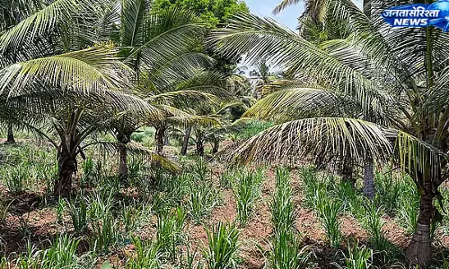 Bidadi के पास 516 एकड़ भूमि अधिग्रहण का नोटिफिकेशन जारी Bidadi के पास 516 एकड़ भूमि अधिग्रहण का नोटिफिकेशन जारी