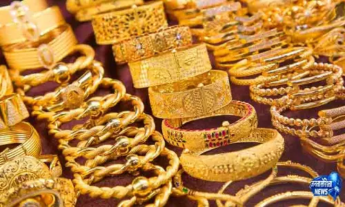 ट्रेन यात्रा में Bathinda व्यापारी के 3 करोड़ के गहने गायब ट्रेन यात्रा में Bathinda व्यापारी के 3 करोड़ के गहने गायब