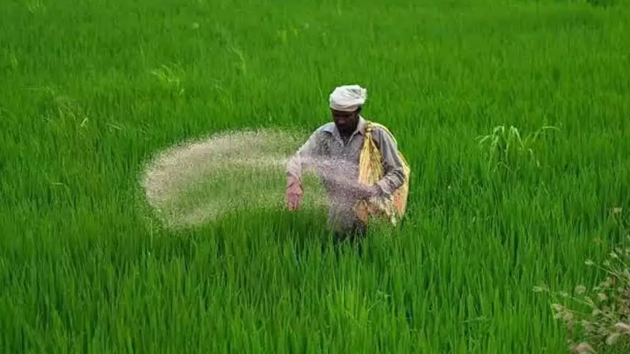 Telangana: कृषि विभाग ने खाद की कीमतों के नियमों के उल्लंघन पर सख्ती की Telangana: कृषि विभाग ने खाद की कीमतों के नियमों के उल्लंघन पर सख्ती की