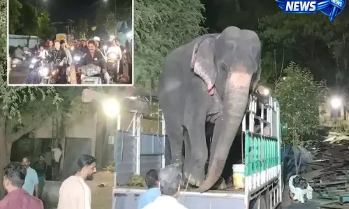 Hyderabad में बीबी का आलम जुलूस के लिए हथिनी श्रीदेवी Hyderabad में बीबी का आलम जुलूस के लिए हथिनी श्रीदेवी
