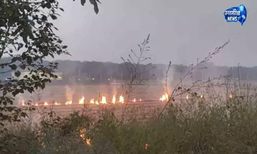 Patiala पर्यावरण सुरक्षा में बोर्ड की नाकामी का खुलासा Patiala पर्यावरण सुरक्षा में बोर्ड की नाकामी का खुलासा