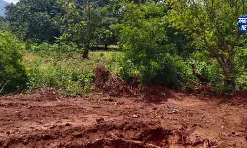 Keonjhar में अवैध रूप से पेड़ काटने को लेकर OMC को नोटिस Keonjhar में अवैध रूप से पेड़ काटने को लेकर OMC को नोटिस