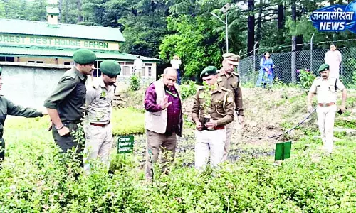 वन संरक्षण-अतिक्रमण हटाने के निर्देश जारी