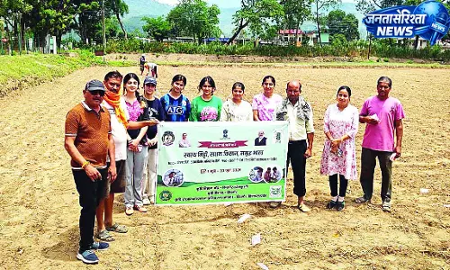 सात जुलाई तक करें बौनी किस्मों की रोपाई
