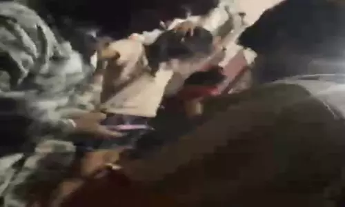 कमल विहार क्षेत्र में चल रहा अवैध सेक्स रैकेट का कारोबार, वीडियो आया सामने कमल विहार क्षेत्र में चल रहा अवैध सेक्स रैकेट का कारोबार, वीडियो आया सामने