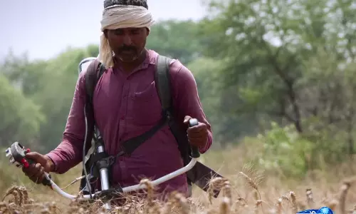 Kanpur: बैटरी से चलने वाली मशीन पराली जलाने की समस्या से कैसे निपट रही Kanpur: बैटरी से चलने वाली मशीन पराली जलाने की समस्या से कैसे निपट रही