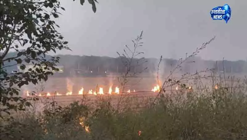 Patiala पर्यावरण सुरक्षा में बोर्ड की नाकामी का खुलासा Patiala पर्यावरण सुरक्षा में बोर्ड की नाकामी का खुलासा