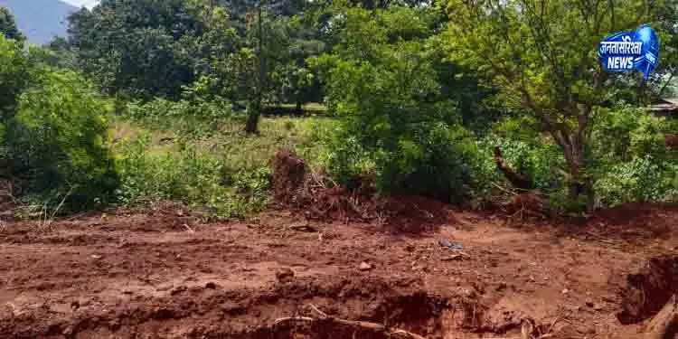 Keonjhar में अवैध रूप से पेड़ काटने को लेकर OMC को नोटिस Keonjhar में अवैध रूप से पेड़ काटने को लेकर OMC को नोटिस