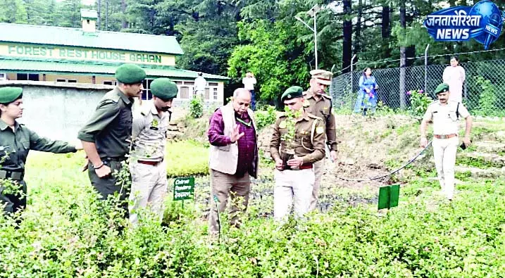 वन संरक्षण-अतिक्रमण हटाने के निर्देश जारी वन संरक्षण-अतिक्रमण हटाने के निर्देश जारी