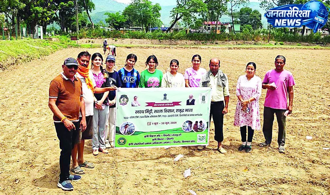 सात जुलाई तक करें बौनी किस्मों की रोपाई सात जुलाई तक करें बौनी किस्मों की रोपाई
