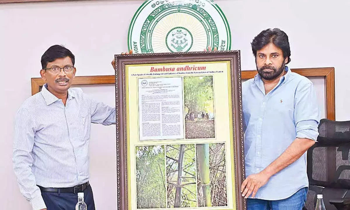 Andhra: पवन ने ग्रीनिंग सोसाइटी के जल्द गठन के निर्देश दिए