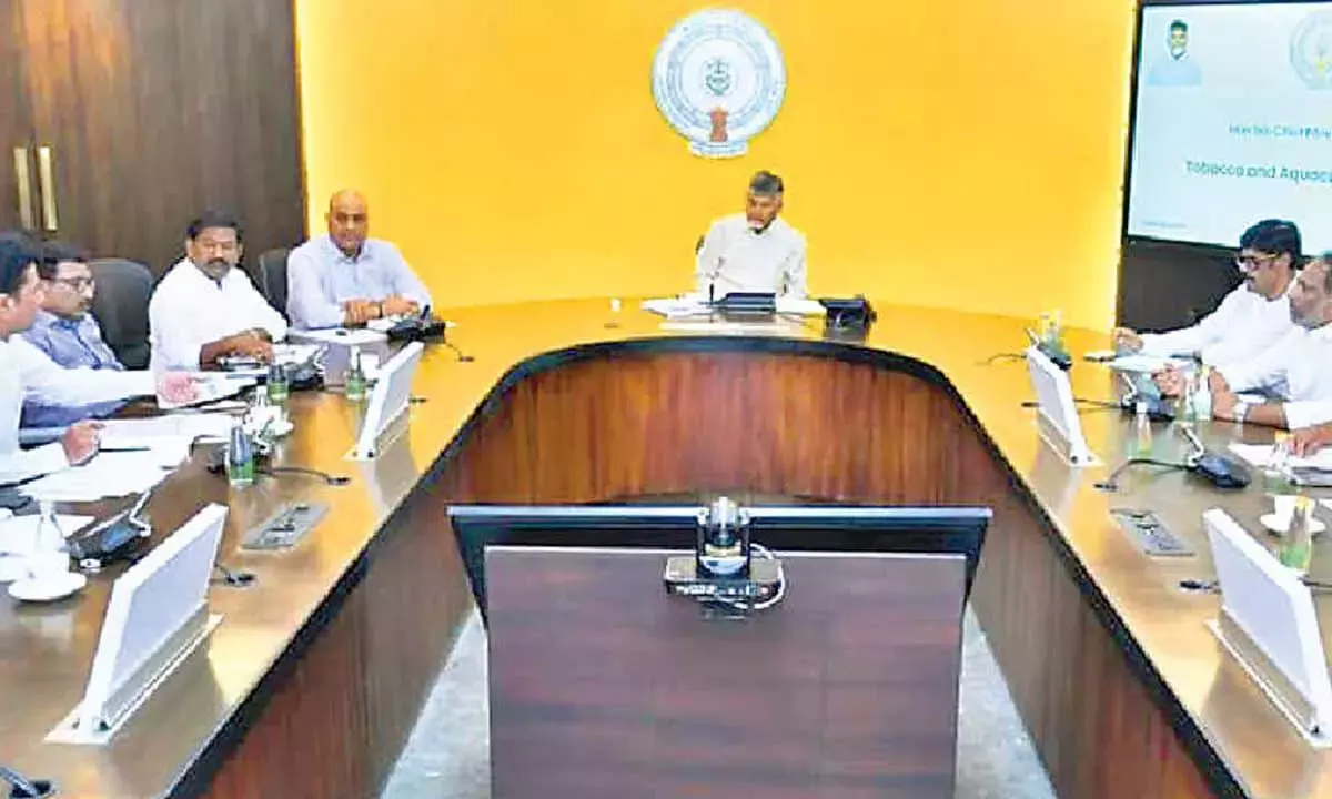 Naidu ने तंबाकू की कीमतों के लिए 200 रुपये प्रति किलो का न्यूनतम भाव तय किया Naidu ने तंबाकू की कीमतों के लिए 200 रुपये प्रति किलो का न्यूनतम भाव तय किया