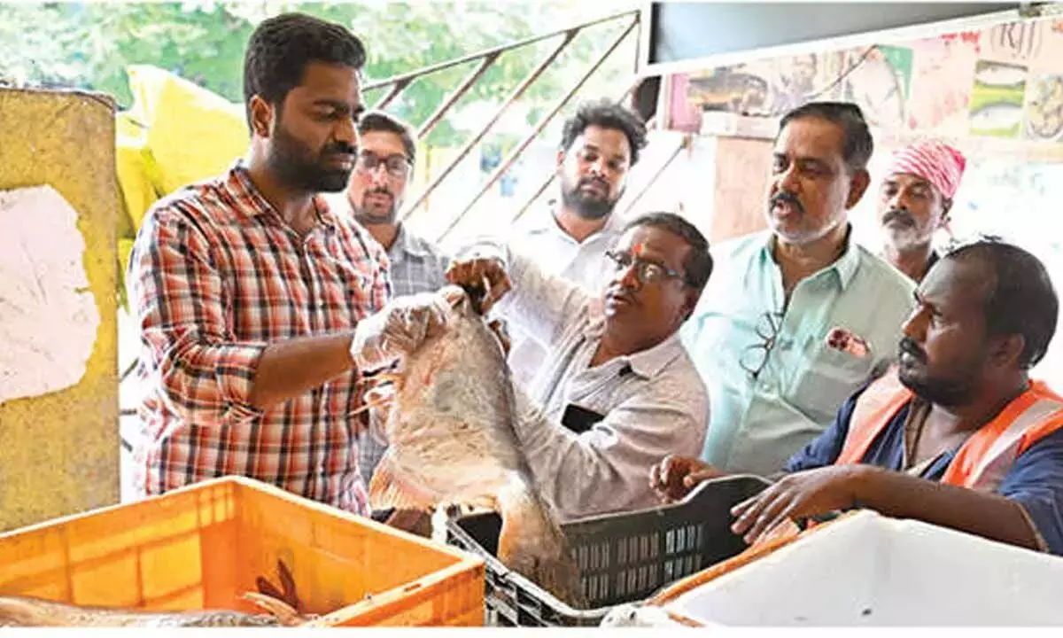 Andhra: लीला महल मछली बाज़ार में सड़ी-गली मछली ज़ब्त की गई Andhra: लीला महल मछली बाज़ार में सड़ी-गली मछली ज़ब्त की गई