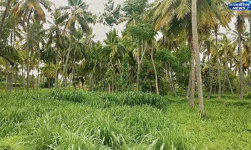 Bidadi टाउनशिप योजना पर विरोध तेज, युवा और किसान परिवारों की नई पीढ़ी ने संभाला मोर्चा Bidadi टाउनशिप योजना पर विरोध तेज, युवा और किसान परिवारों की नई पीढ़ी ने संभाला मोर्चा