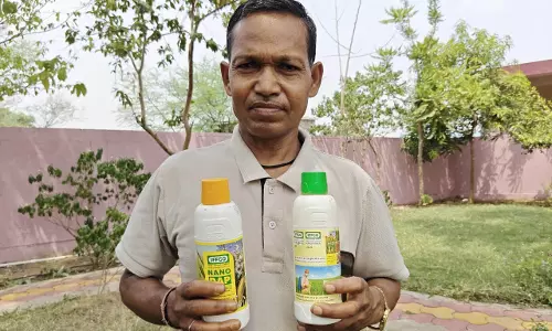 किसान हीरा सिंह ने रासायनिक खाद छोड़ अपनाया नैनो यूरिया और डीएपी किसान हीरा सिंह ने रासायनिक खाद छोड़ अपनाया नैनो यूरिया और डीएपी