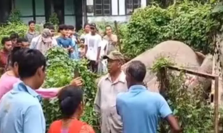Assam: सोनितपुर के चारिद्वार में बिजली का करंट लगने से हाथी की मौत Assam: सोनितपुर के चारिद्वार में बिजली का करंट लगने से हाथी की मौत