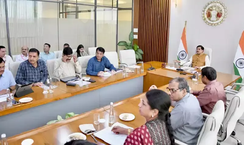 Bhopal: बाघ और चीता संरक्षण में एमपी ने देश में हासिल किया पहला स्थान Bhopal: बाघ और चीता संरक्षण में एमपी ने देश में हासिल किया पहला स्थान