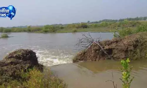 Mahakalapara समुद्री पानी घुसने से 100 एकड़ खेत जलमग्न