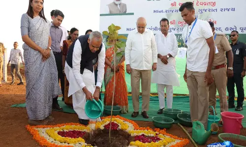 नवसारी में ‘एक पेड़ मां के नाम 3.0’ अभियान की शुरुआत, Gujarat का 8 करोड़ पौधों का लक्ष्य नवसारी में ‘एक पेड़ मां के नाम 3.0’ अभियान की शुरुआत, Gujarat का 8 करोड़ पौधों का लक्ष्य