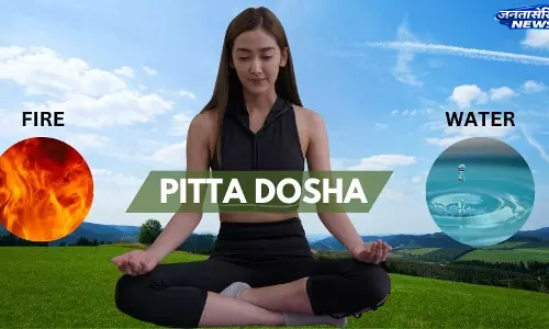 पित्त दोष से हो सकती हैं कई दिक्कतें, जानें बचाव के उपाय पित्त दोष से हो सकती हैं कई दिक्कतें, जानें बचाव के उपाय