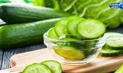 खीरा मीठा या कड़वा, जानने की आसान ट्रिक