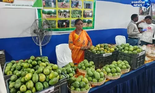 नाबार्ड महोत्सव में organic आम की बिक्री नाबार्ड महोत्सव में organic आम की बिक्री