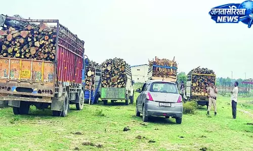 लकड़ी से भरी सात बोलेरो और ट्रक जब्त