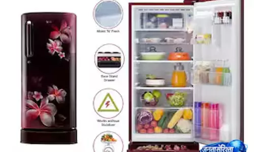 LG का स्मार्ट फ्रिज: बिना खोले दिखेगा अंदर रखा सामान LG का स्मार्ट फ्रिज: बिना खोले दिखेगा अंदर रखा सामान