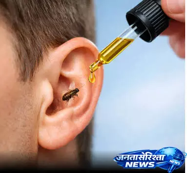 कान में कीड़ा घुसने पर तुरंत करें ये उपाय नहीं पड़ेगी डॉक्टर के पास जाने की जरूरत कान में कीड़ा घुसने पर तुरंत करें ये उपाय नहीं पड़ेगी डॉक्टर के पास जाने की जरूरत