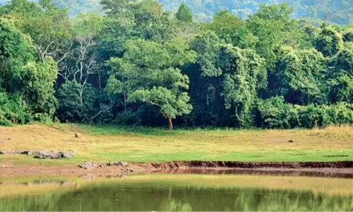 Uttarakhand : जंगलों की हाई-टेक सुरक्षा, ड्रोन सेना तैनात होगी