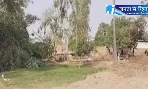 पटवारी ने आबादी जमीन को दूसरे के नाम पर चढ़ाया, कार्रवाई नहीं पटवारी ने आबादी जमीन को दूसरे के नाम पर चढ़ाया, कार्रवाई नहीं