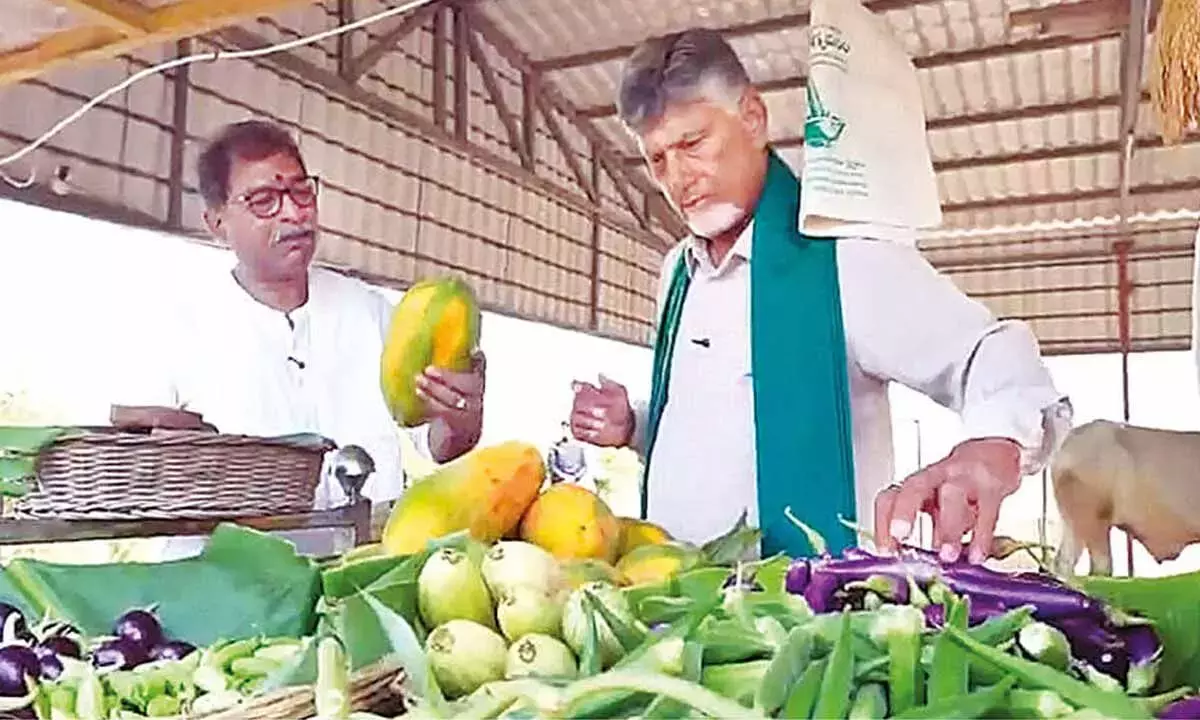 Andhra: मुख्यमंत्री ने प्राकृतिक खेती को बढ़ावा दिया, किसानों को मदद का भरोसा दिलाया