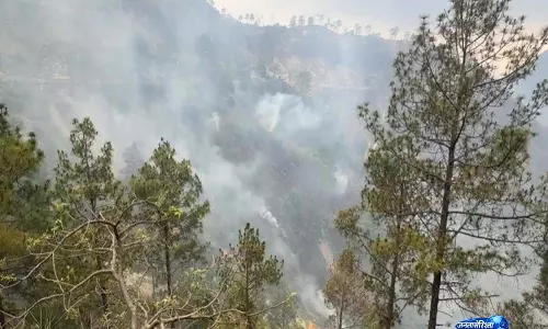 Reasi: सलाल वन क्षेत्र में भीषण आग लगी, बुझाने का काम जारी Reasi: सलाल वन क्षेत्र में भीषण आग लगी, बुझाने का काम जारी