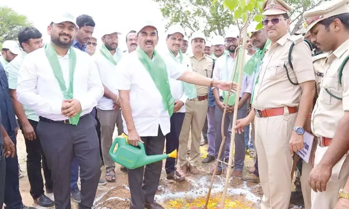 Telangana: जुपल्ली का कहना है कि प्रदूषण से निपटने के लिए बड़े पैमाने पर पेड़-पौधे लगाना ज़रूरी है