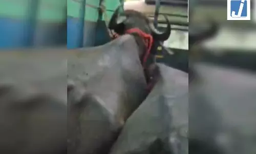 VIDEO सोशल मीडिया पर तेजी से वायरल, डोंगरगढ़ की ये खबर पढ़ी आपने? VIDEO सोशल मीडिया पर तेजी से वायरल, डोंगरगढ़ की ये खबर पढ़ी आपने?