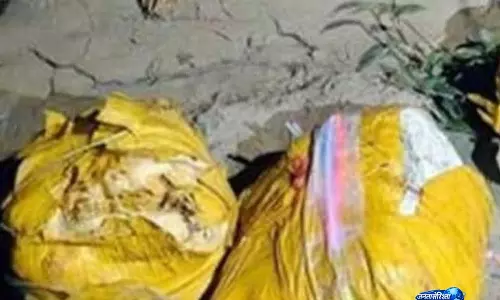 अमृतसर सीमा पर बड़ी कार्रवाई: BSF और पंजाब पुलिस ने 27 किलो हेरोइन की बरामद