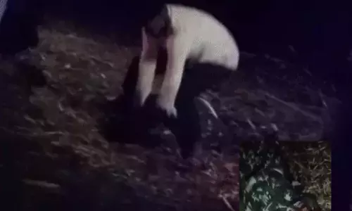 सूरजपुर में सड़क हादसे के बाद 112 टीम पर ग्रामीणों का हमला, आरक्षक बेहोश सूरजपुर में सड़क हादसे के बाद 112 टीम पर ग्रामीणों का हमला, आरक्षक बेहोश