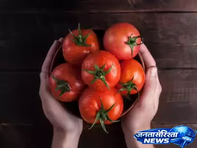 tomatoes की असली पहचान और सेहत का सच tomatoes की असली पहचान और सेहत का सच
