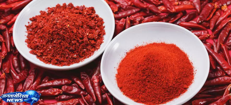 red chili में मिलावट का खतरा red chili में मिलावट का खतरा