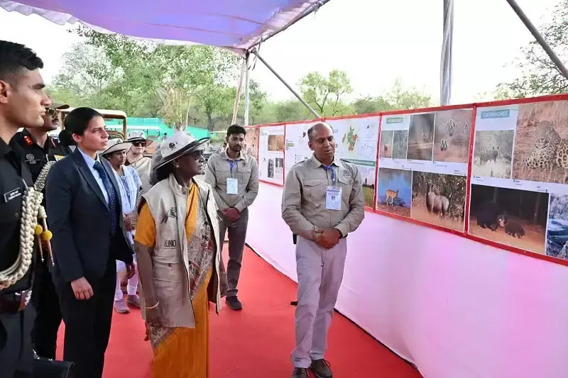 Bhopal: राष्ट्रपति ने चीता संरक्षण परियोजना का लिया जायजा Bhopal: राष्ट्रपति ने चीता संरक्षण परियोजना का लिया जायजा