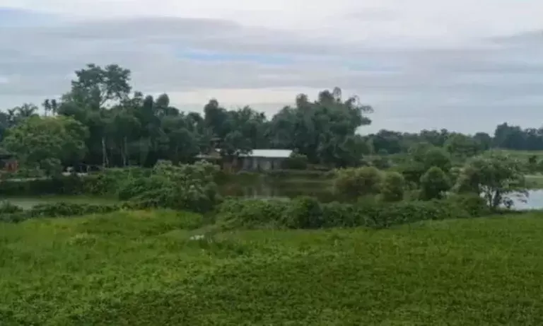 Assam: नगांव में चरागाह भूमि से अतिक्रमण हटाने का अभियान शुरू होगा