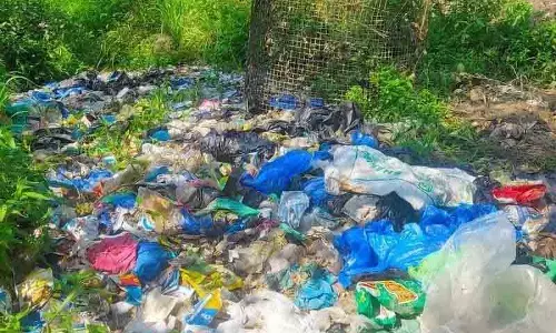 Palampur कचरा प्रबंधन बंद होने से समस्या बढ़ी